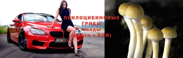 экстази Бородино