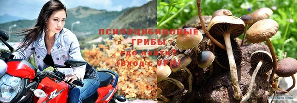 герыч Бронницы