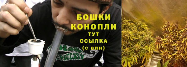 экстази Бородино