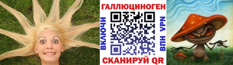 Галлюциногенные грибы GOLDEN TEACHER  Купить  Верхняя Салда 